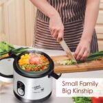 PowerPac Mini Rice Cooker, Electirc Lunch Box 0.6L/1.2L (PPRC09/PPRC113)