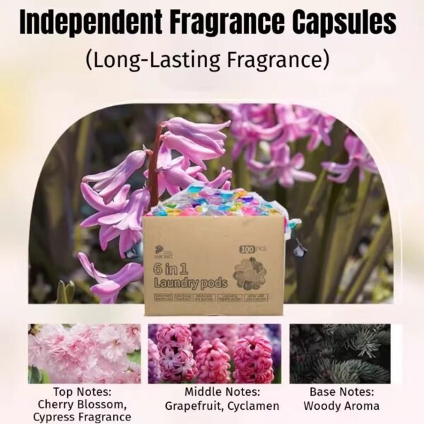 MR.ING 6 in 1 Laundry Pods Detergent Capsule Anti-bacterial [100 pods]